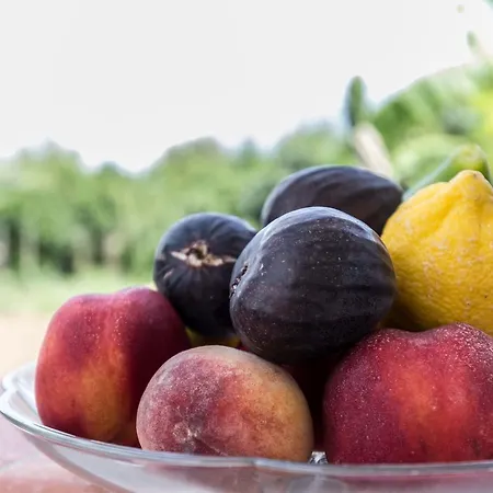 Europa And Restaurant