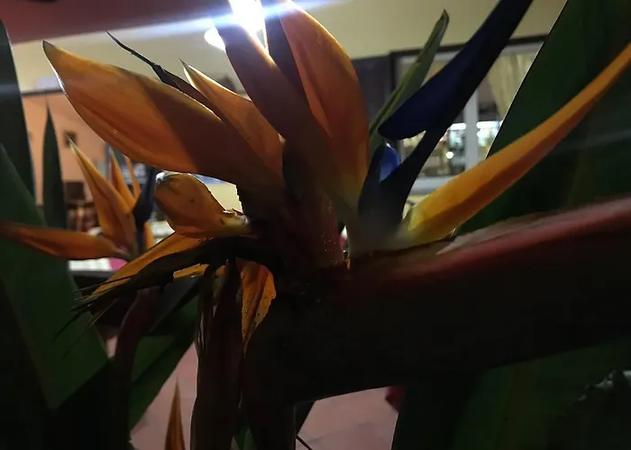 Pensionat Europa And Restaurant 4*