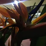 Πανσιόν Europa And Restaurant 4*