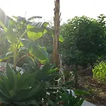 Πανσιόν Europa And Restaurant 4*