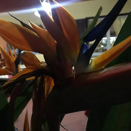 Casa de hóspedes Europa 4*