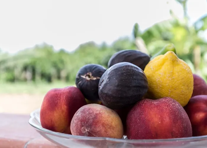 Europa And Restaurant