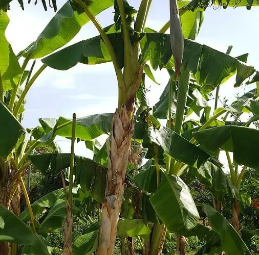 Casa de hóspedes Europa And Restaurant 4*